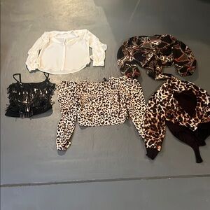 Stylish Women's Blouse and Top Collection